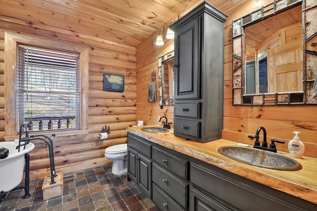 180 Cinnamon Bear Road, Mineral Bluff, GA 30559