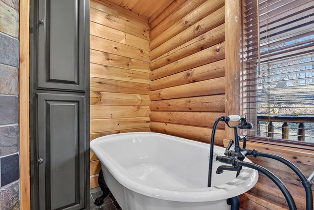 180 Cinnamon Bear Road, Mineral Bluff, GA 30559