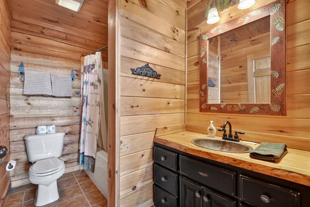 180 Cinnamon Bear Road, Mineral Bluff, GA 30559