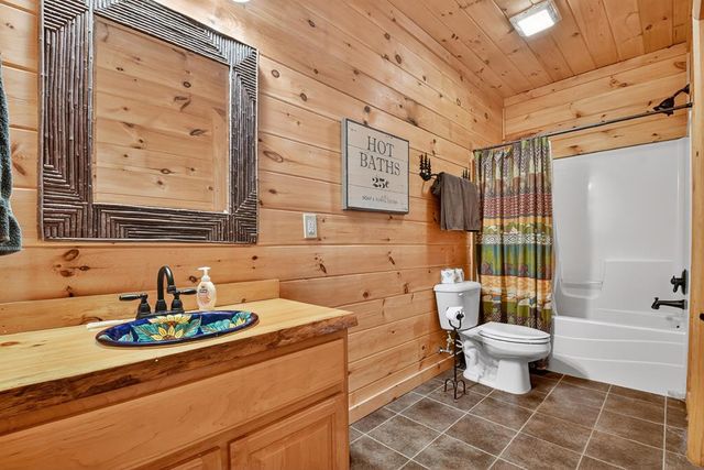 180 Cinnamon Bear Road, Mineral Bluff, GA 30559