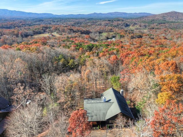 180 Cinnamon Bear Road, Mineral Bluff, GA 30559