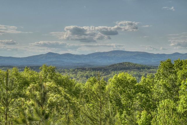 180 Cinnamon Bear Road, Mineral Bluff, GA 30559