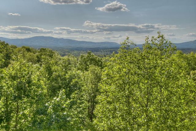 180 Cinnamon Bear Road, Mineral Bluff, GA 30559