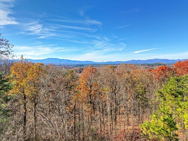 180 Cinnamon Bear Road, Mineral Bluff, GA 30559