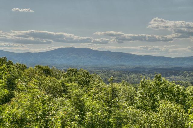 180 Cinnamon Bear Road, Mineral Bluff, GA 30559