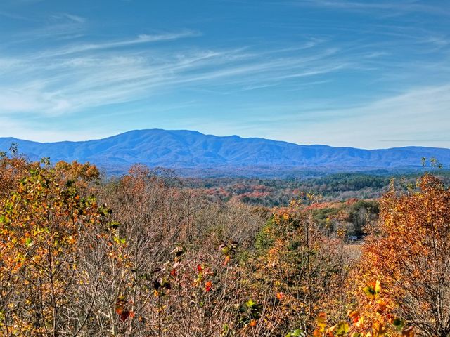 180 Cinnamon Bear Road, Mineral Bluff, GA 30559