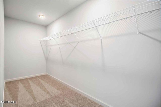 323 Crabtree Lane, Delta, OH 43515