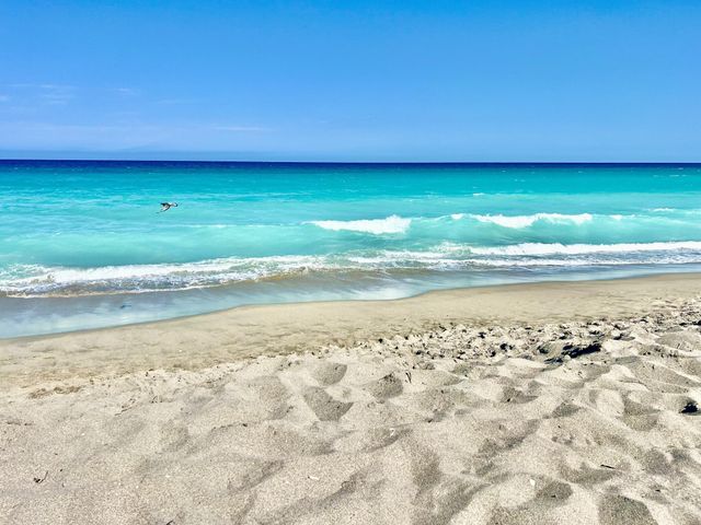 353 S Us-1 B105, Jupiter, FL 33477