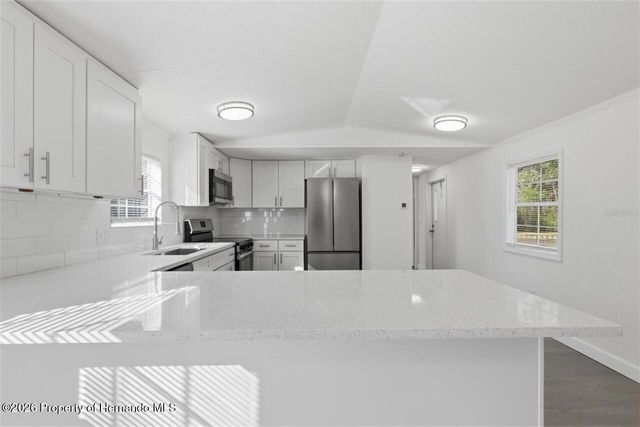 14621 Dilbeck Drive, Spring Hill(pasco), FL 34610