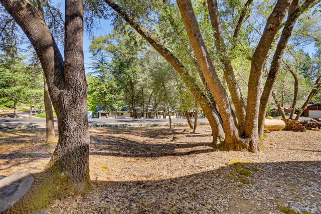 12781 Roadrunner Dr, Penn Valley, CA 95946