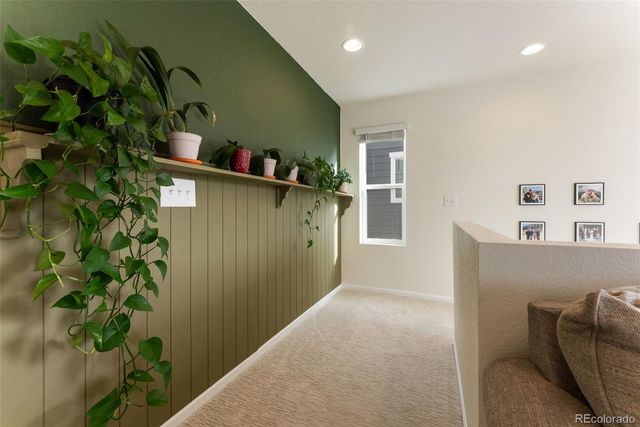 6229 Bodacious Circle, Colorado Springs, CO 80923