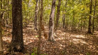 000 County Road 9640, Koshkonong, MO 65692