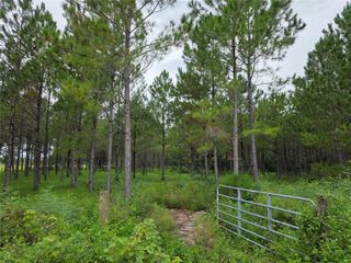 10830 MOORE ROAD, Lakeland, FL 33809