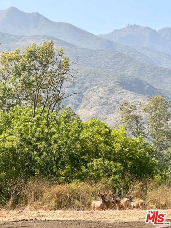 Image 32 of property listing at 5737 Bonsall Drive, Malibu, CA 90265