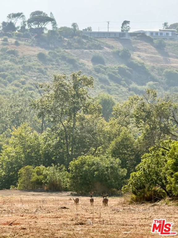 Image 5 of property listing at 5737 Bonsall Drive, Malibu, CA 90265