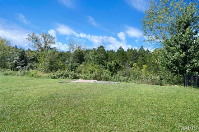 98 San Marino Parkway, Fenton, MO 63026