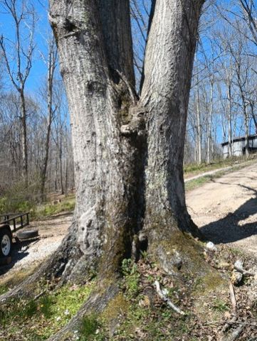 5964 Garrison Rd, Franklin, TN 37064