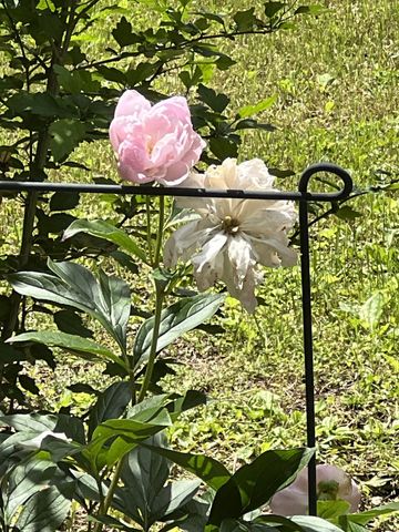 5964 Garrison Rd, Franklin, TN 37064