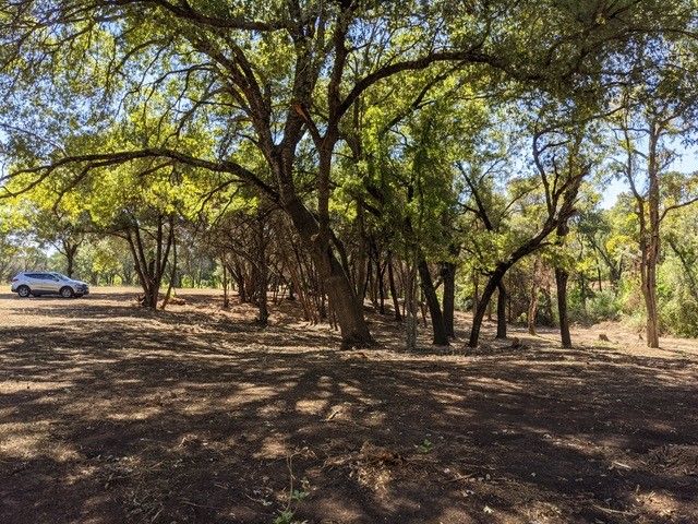 512 Lydia Lane, Granbury, TX 76049