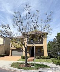 87 Fringe Tree, Irvine, CA 92606
