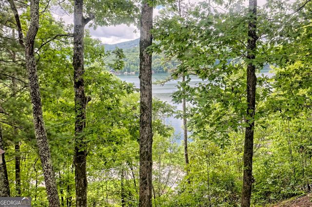 188 Magnolia Place Trail, Clayton, GA 30525