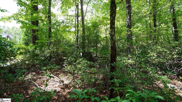 213 Ridge Haven Trail, Travelers Rest, SC 29690