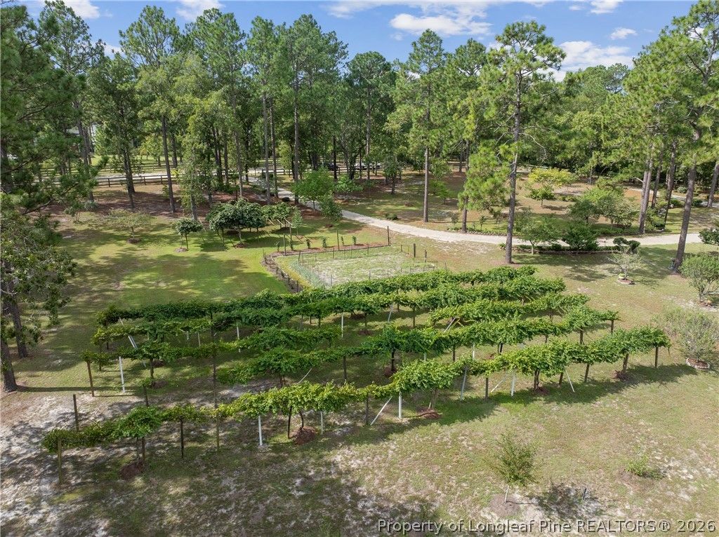242 Jody Lane, Raeford, NC 28376 — photo 2