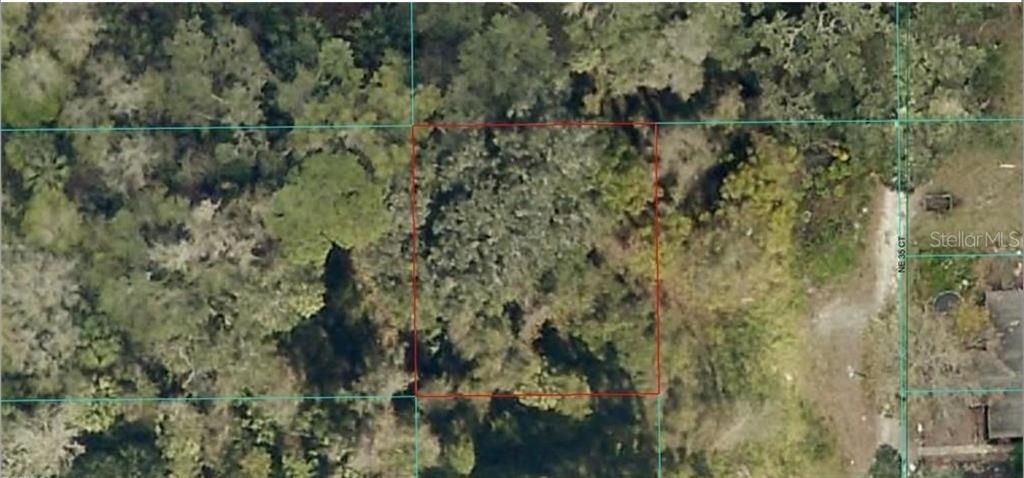 16649 NE 35TH AVENUE, Citra, FL 32113