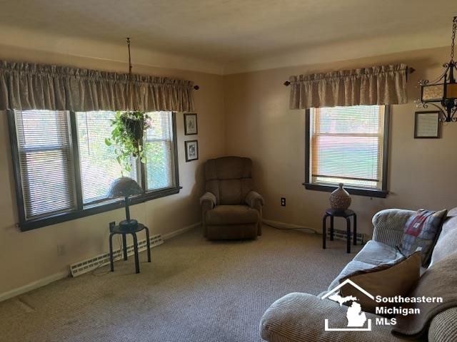 10524 Brunt Street, Samaria, MI 48177