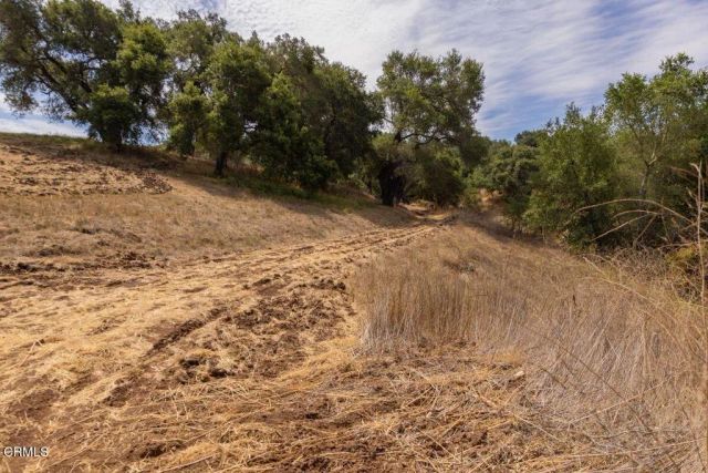 1410 Baldwin Road, Ojai, CA 93023