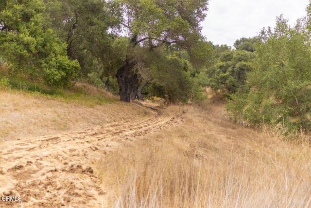 1410 Baldwin Road, Ojai, CA 93023