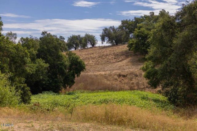 1410 Baldwin Road, Ojai, CA 93023