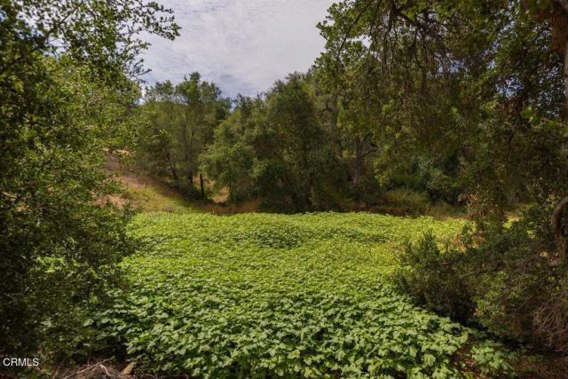 1410 Baldwin Road, Ojai, CA 93023