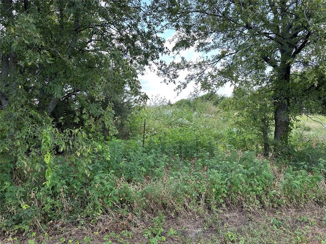 Lot 3 Rutledge Road, Whitewright, TX 75491