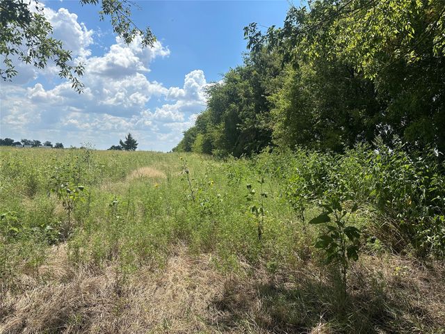 Lot 3 Rutledge Road, Whitewright, TX 75491