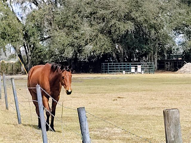 14240 SR 471, Webster, FL 33597