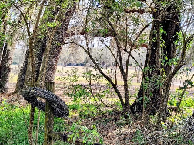 14240 SR 471, Webster, FL 33597