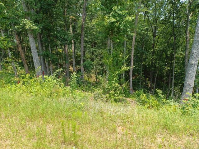 33 Ridge Line Trail, Ellijay, GA 30540