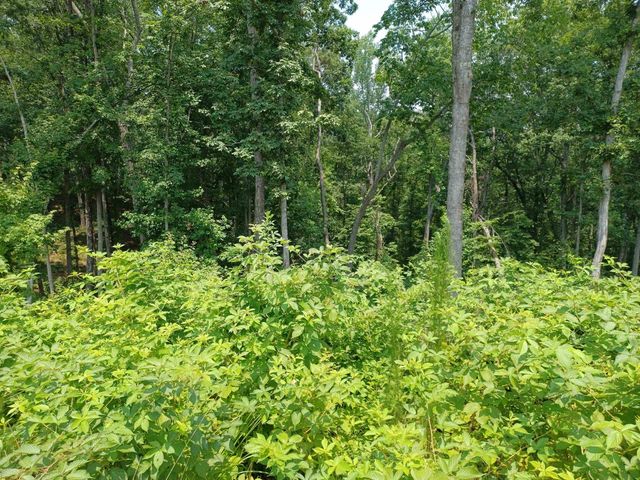 33 Ridge Line Trail, Ellijay, GA 30540