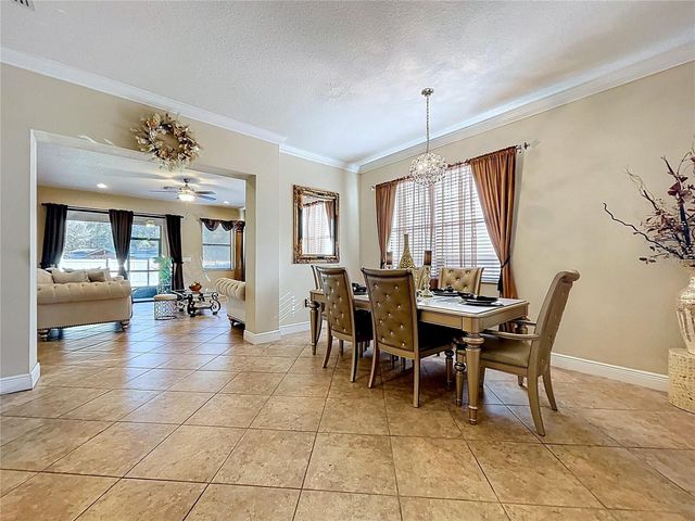 15246 ANGUILLA ISLE AVENUE, Tampa, FL 33647