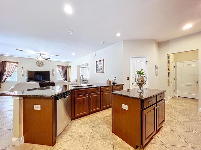 15246 ANGUILLA ISLE AVENUE, Tampa, FL 33647