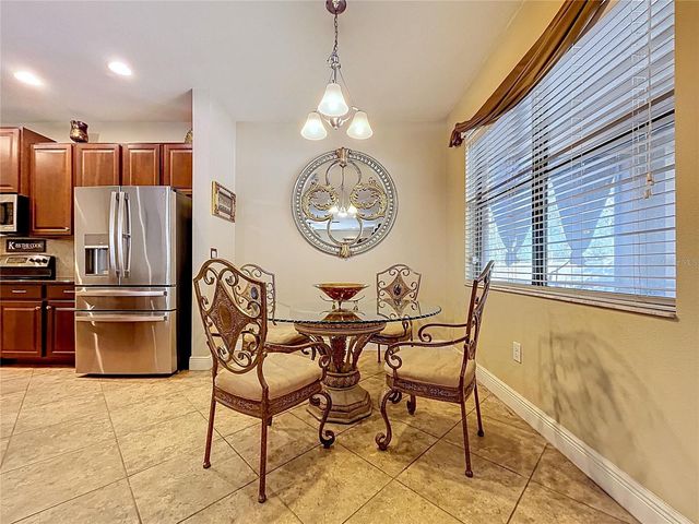 15246 ANGUILLA ISLE AVENUE, Tampa, FL 33647