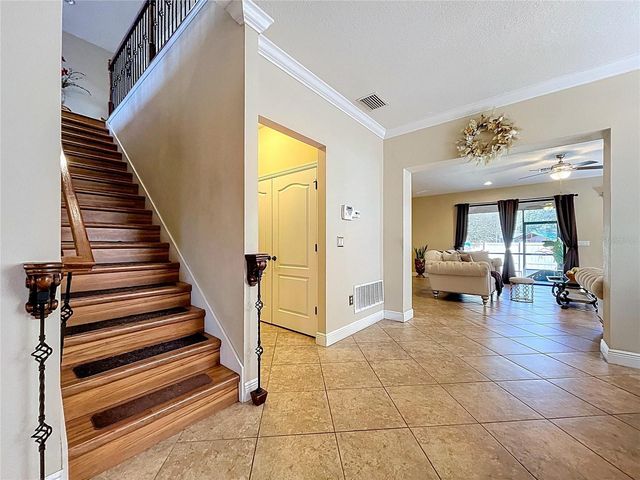 15246 ANGUILLA ISLE AVENUE, Tampa, FL 33647