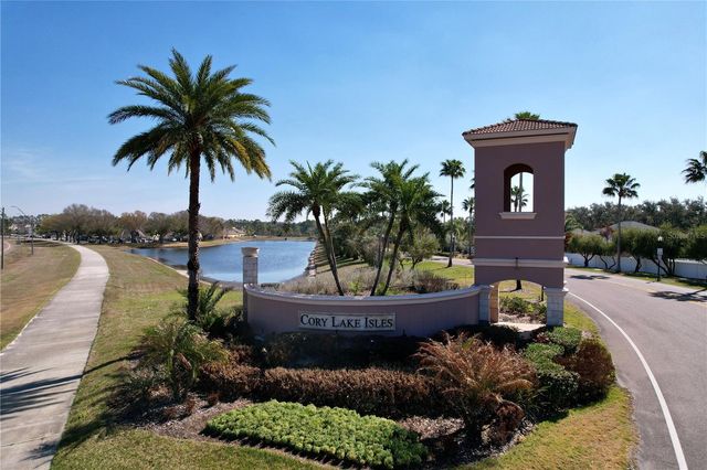 15246 ANGUILLA ISLE AVENUE, Tampa, FL 33647