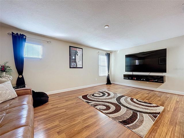 15246 ANGUILLA ISLE AVENUE, Tampa, FL 33647