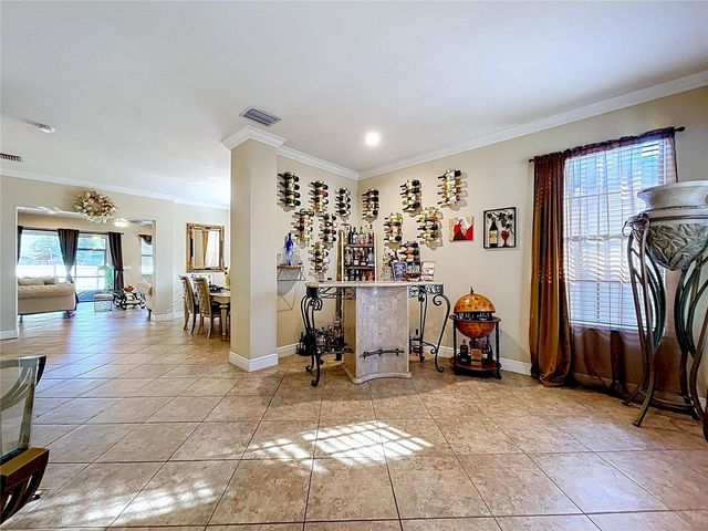 15246 ANGUILLA ISLE AVENUE, Tampa, FL 33647