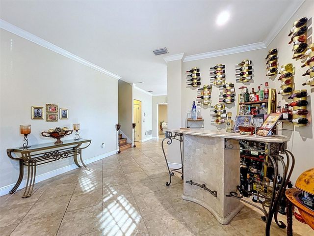 15246 ANGUILLA ISLE AVENUE, Tampa, FL 33647