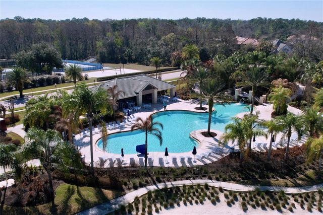 15246 ANGUILLA ISLE AVENUE, Tampa, FL 33647