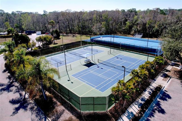 15246 ANGUILLA ISLE AVENUE, Tampa, FL 33647