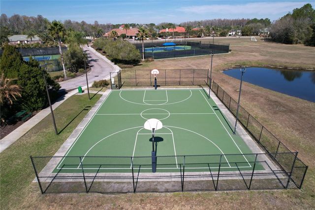 15246 ANGUILLA ISLE AVENUE, Tampa, FL 33647